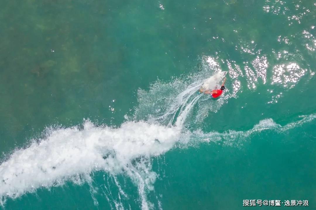 动物拼一拼